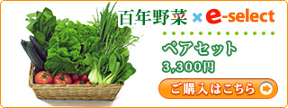 百年野菜 ペアセット 3300円