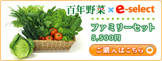 百年野菜 ファミリーセット 5500円
